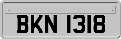 BKN1318