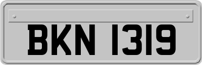 BKN1319