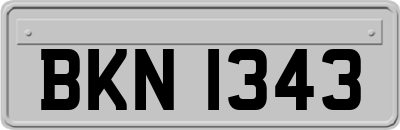 BKN1343
