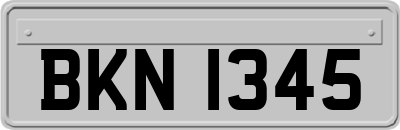BKN1345