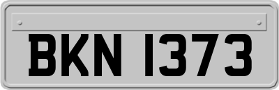 BKN1373