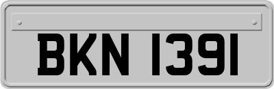BKN1391