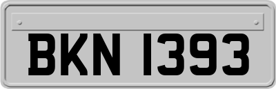 BKN1393