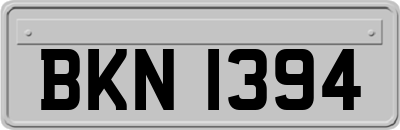 BKN1394