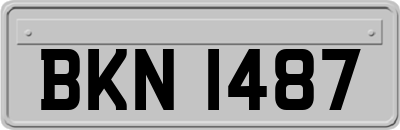BKN1487