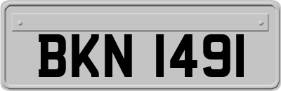 BKN1491