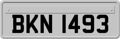 BKN1493