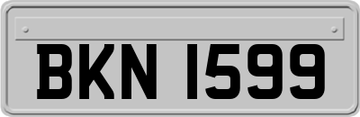 BKN1599