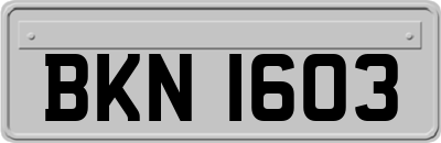 BKN1603
