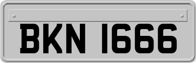 BKN1666
