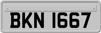 BKN1667