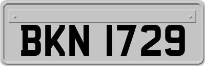 BKN1729