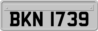 BKN1739