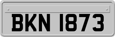 BKN1873