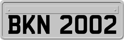 BKN2002
