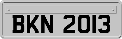 BKN2013