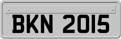 BKN2015