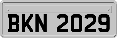 BKN2029