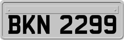 BKN2299