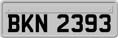 BKN2393