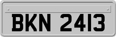 BKN2413