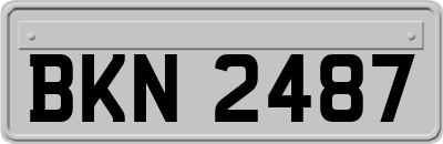 BKN2487