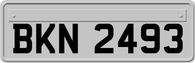 BKN2493