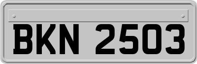 BKN2503