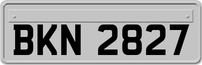BKN2827