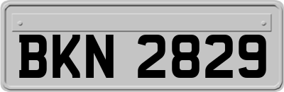 BKN2829