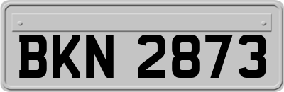 BKN2873