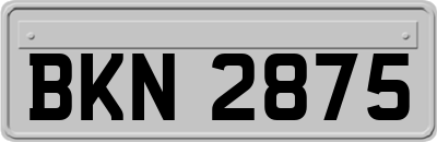 BKN2875