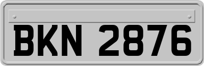 BKN2876