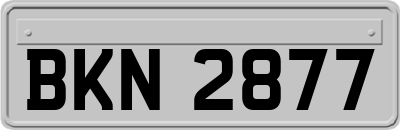 BKN2877