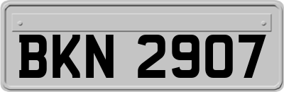 BKN2907