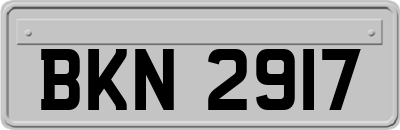BKN2917