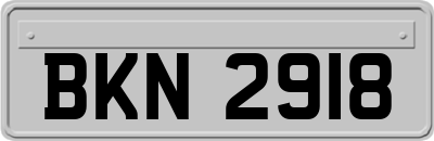 BKN2918