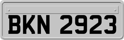 BKN2923