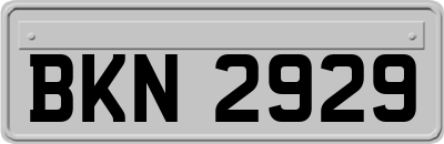 BKN2929