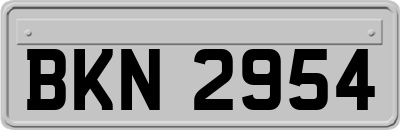 BKN2954