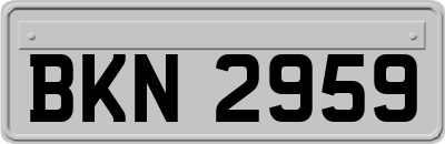 BKN2959