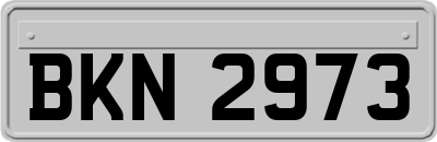 BKN2973