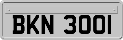 BKN3001