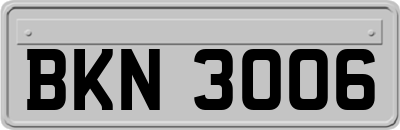 BKN3006