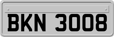 BKN3008