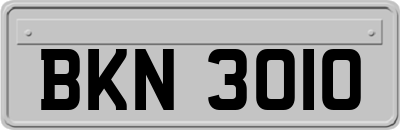 BKN3010