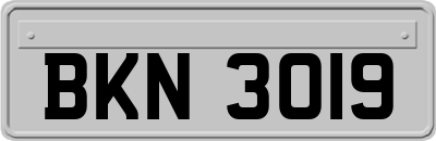 BKN3019