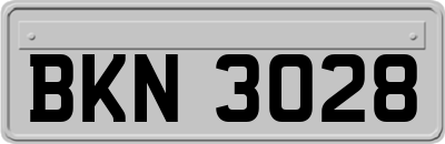 BKN3028