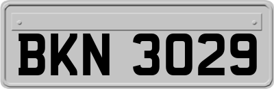 BKN3029