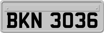 BKN3036